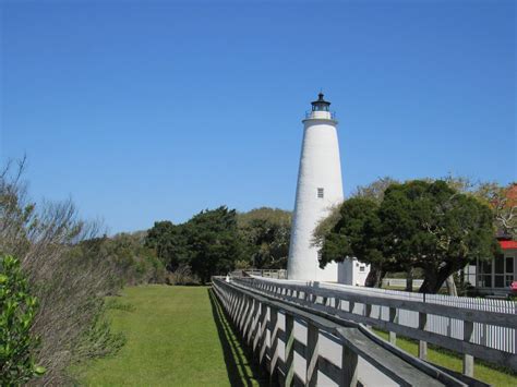 Ocracoke's Magical Pea: An Ecological Treasure of the Outer Banks